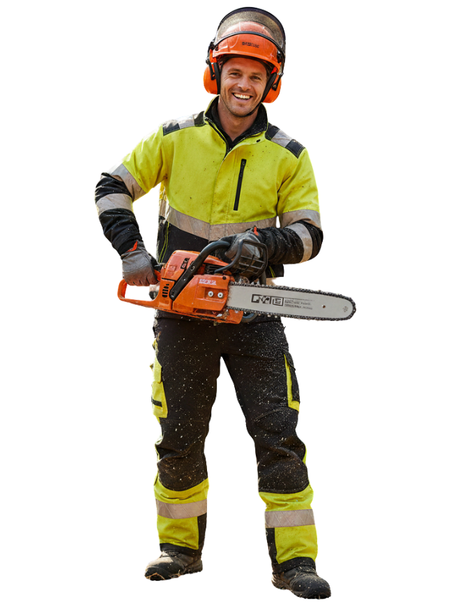 corta de arboles costa rica